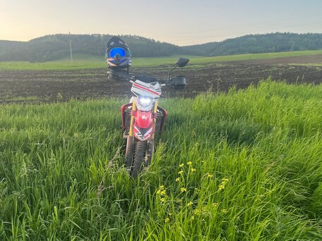 2023 Regulmoto CR-Z 300, красный, 200000 рублей, вид 4