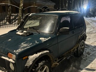 2009 Lada (ВАЗ) 2121 (4x4) I Рестайлинг, зелёный, 270000 рублей, вид 4