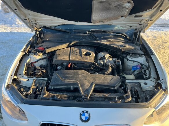 2013 BMW 1 серии 116i II (F20/F21), белый, 1030000 рублей - вид 15