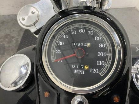 1999 Harley-Davidson Softail Custom, чёрный, 610000 рублей, вид 5
