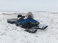 2023 Sharmax SN-650, синий, 500000 рублей