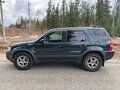 2002 Ford Maverick III, зелёный, 180000 рублей - вид 9