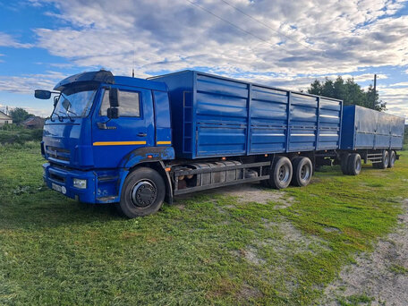 2014 КамАЗ 65117, синий, 2700000 рублей, вид 1