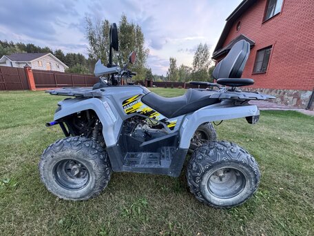 2024 Bison Hammer 200, серый, 150000 рублей, вид 2