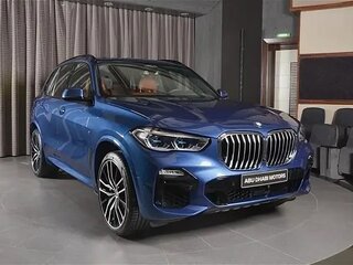 2019 BMW X5 30d IV (G05/G18), синий, 5700000 рублей, вид 3