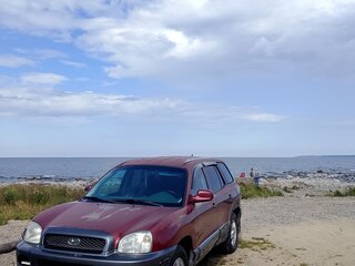 2002 Hyundai Santa Fe I, фиолетовый, 250000 рублей, вид 2