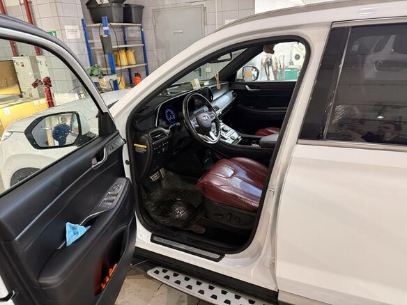 2019 Hyundai Palisade I, белый, 4400000 рублей - вид 6