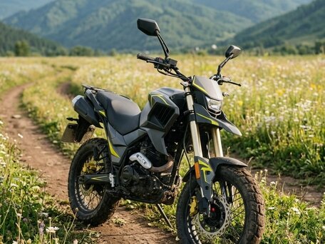 2023 Shineray XY250-11A (COBRA), серый, 108000 рублей, вид 1