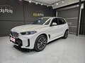 2024 BMW X5 30d IV (G05/G18) Рестайлинг, белый