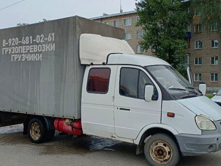 2005 ГАЗ ГАЗель (33023/330273) Фермер, белый, 500000 рублей, вид 2