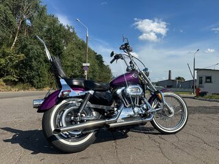 2005 Harley-Davidson Sportster 1200, пурпурный, 565000 рублей, вид 2