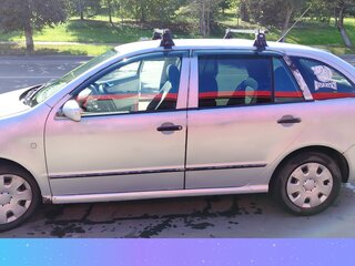 2003 Skoda Fabia I, серый, 250000 рублей, вид 4