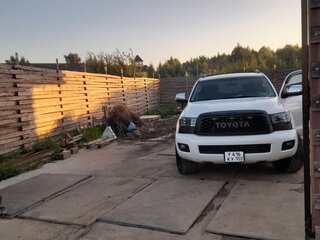 2011 Toyota Sequoia II, белый, 3450000 рублей, вид 1