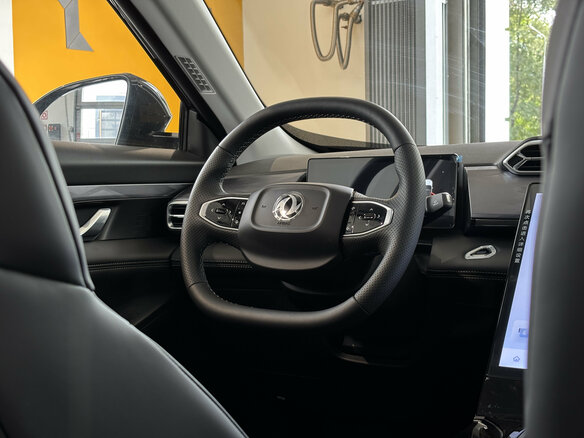 2025 Dongfeng Mage, чёрный, 2500000 рублей - вид 12