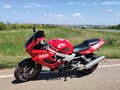 1998 Honda VTR 1000, красный, 280000 рублей