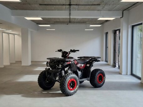 2026 Motoland ATV 150 Wild, чёрный, 199900 рублей, вид 1