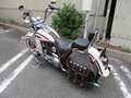1997 Harley-Davidson Springer Softail, белый, 1257000 рублей - вид 5