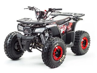 2026 Motoland ATV 150 Wild, чёрный, 145100 рублей, вид 1