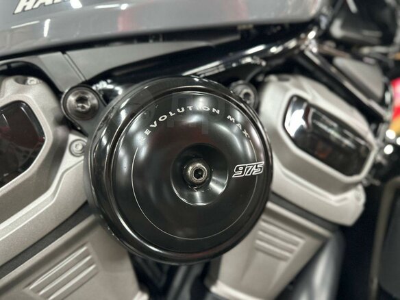2023 Harley-Davidson Nightster, серый, 920000 рублей - вид 17