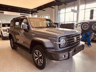 2025 Tank 300 I, серый, 4699000 рублей, вид 2