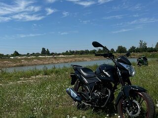 2023 Lifan LF175-2E, чёрный, 100000 рублей, вид 4