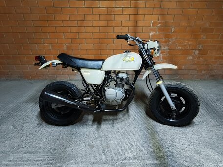 2002 Honda Ape 50, белый, 270000 рублей, вид 4