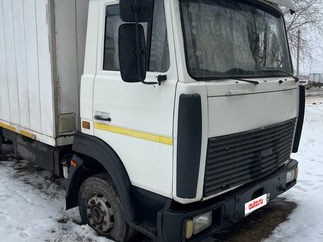 2009 МАЗ 4370, белый, 700000 рублей, вид 2