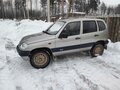 2008 Chevrolet Niva I, серый, 305000 рублей - вид 3