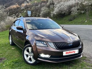 2017 Skoda Octavia III (A7) Рестайлинг, коричневый, 1798888 рублей, вид 4