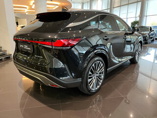 2025 Lexus RX 350h V, чёрный, 12450000 рублей, вид 5