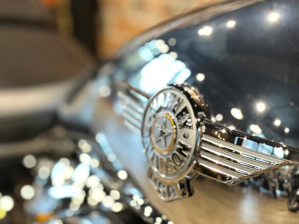 2025 Harley-Davidson Fat Boy, серебристый, 6000000 рублей - вид 3