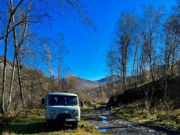2015 УАЗ 2206, серебристый, 1000000 рублей