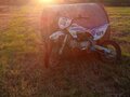 2026 Motoland MX 125, белый, 55000 рублей - вид 2