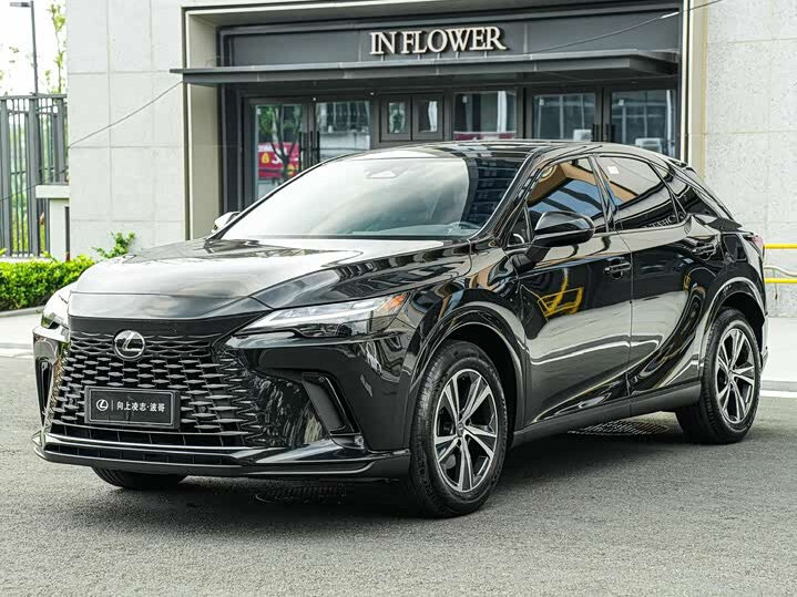 Открыть фотографии: Lexus RX V