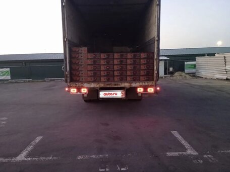 1985 Scania 93, белый, 850000 рублей, вид 2