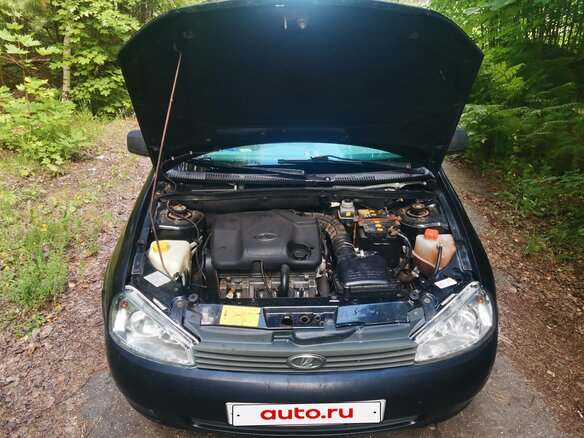 2010 Lada (ВАЗ) Kalina I, чёрный, 145000 рублей - вид 12