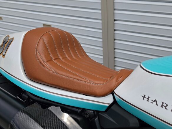 2022 Harley-Davidson Sportster S, голубой, 1064000 рублей - вид 9