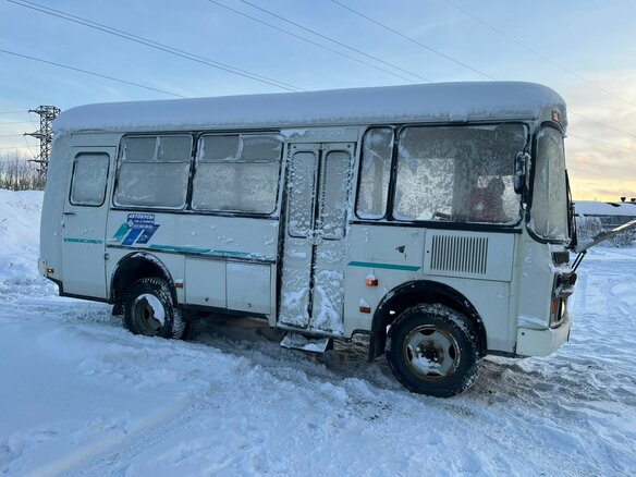 2009 ПАЗ 3206, белый, 650000 рублей - вид 7