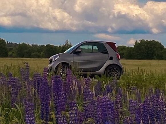 2016 Smart Fortwo III, серый, 1790000 рублей - вид 7
