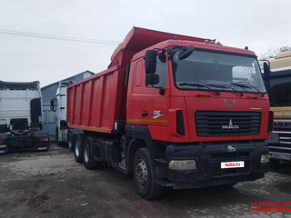 2020 МАЗ 6501, красный, 2213500 рублей, вид 1