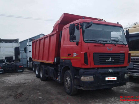 2020 МАЗ 6501, красный, 2330000 рублей, вид 1