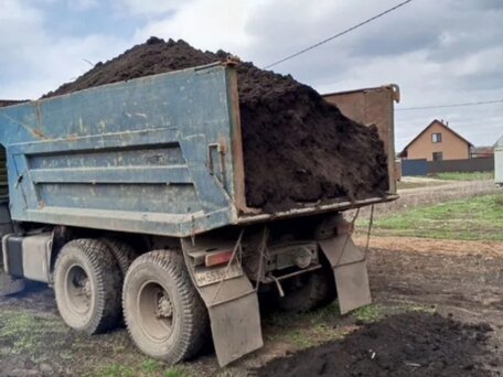 1990 КамАЗ 43085 Компас-5, зелёный, 300000 рублей, вид 2