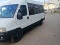 2011 Fiat Professional Ducato, белый, 530000 рублей - вид 2