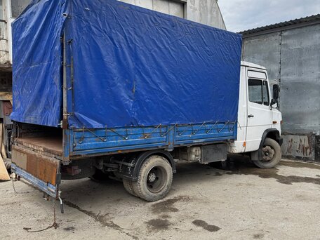 1998 Mercedes-Benz Vario, белый, 699000 рублей, вид 2