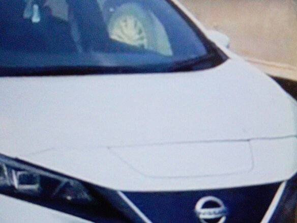 2019 Nissan Leaf II (ZE1), белый, 1750000 рублей - вид 6