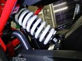 2023 BMW G 310 R, синий, 477000 рублей - вид 7