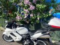 2010 Honda VFR 800, белый, 570000 рублей - вид 2