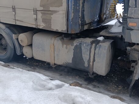 1999 DAF 95XF, чёрный, 800000 рублей, вид 5