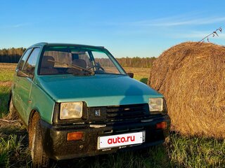2003 Lada (ВАЗ) 1111 Ока КамАЗ, зелёный, 99000 рублей, вид 4