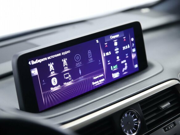 2021 Lexus RX 300 IV Рестайлинг, чёрный - вид 13